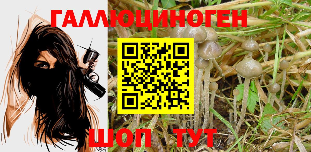 Советский  Альфа ПВП СК   Вход с VPN  Меф   Cocaine  Конопля  Гашиш  Конопля  ГАШ 