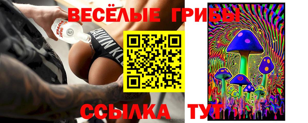 Псилоцибиновые грибы MAGIC MUSHROOMS  Галлюциногенные грибы Magic Shrooms  Вход с VPN  Советский 
